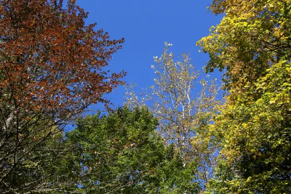 Melhor Época do Ano